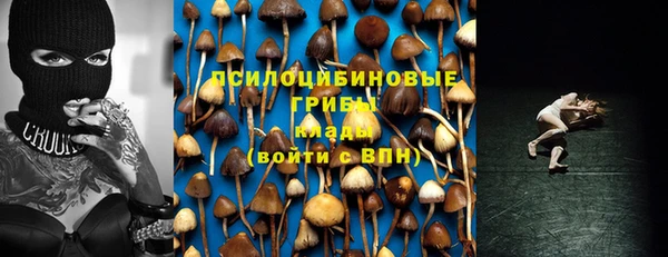 гидра Абдулино