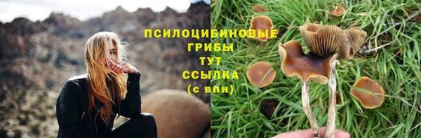 спиды Абаза