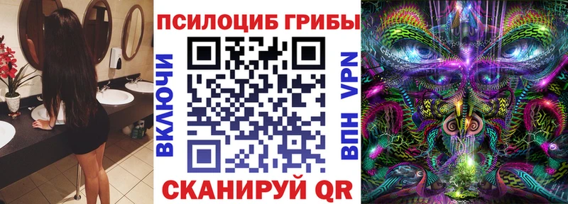 Галлюциногенные грибы ЛСД  что такое   Зеленогорск 